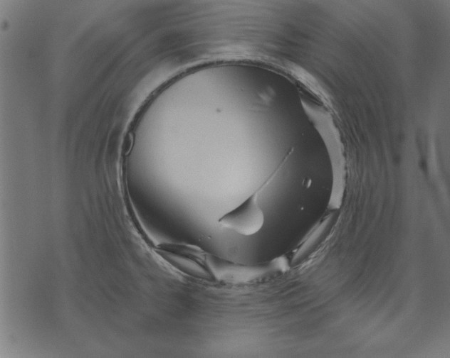 X0000073481334200608211615