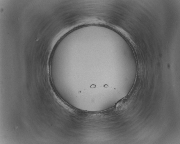 X0000073481335200608211615