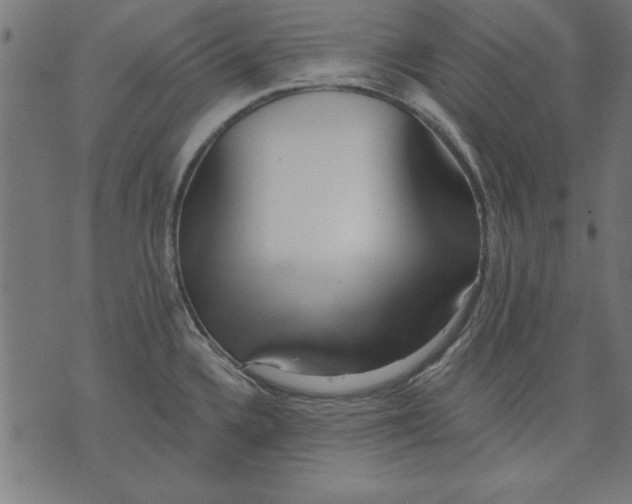 X0000073481336200608211615