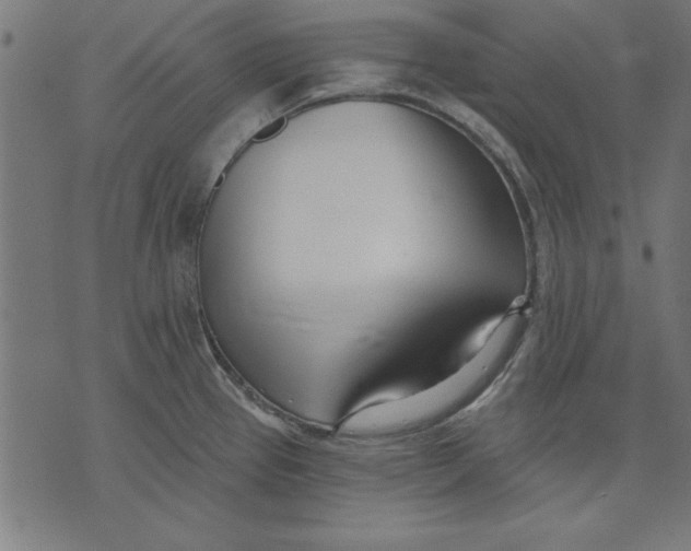 X0000073481337200608211615