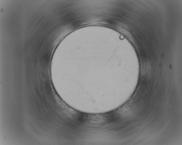 X0000073481338200608211615