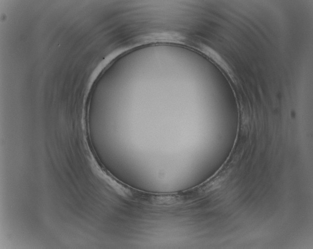 X0000073481339200608211615