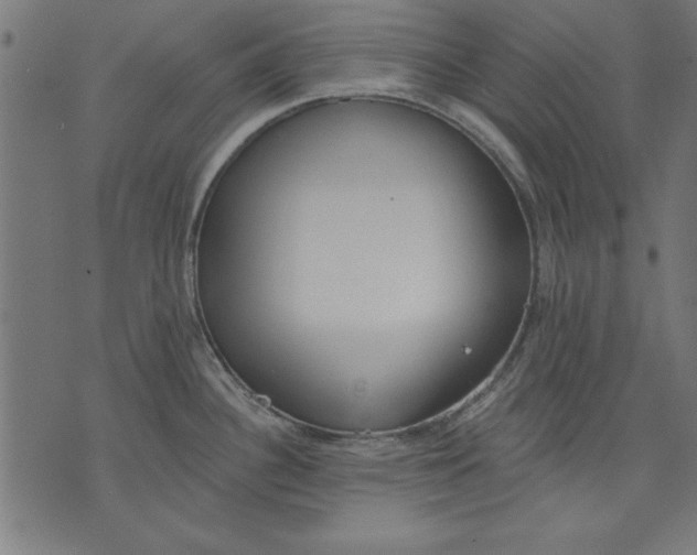 X0000073481340200608211615