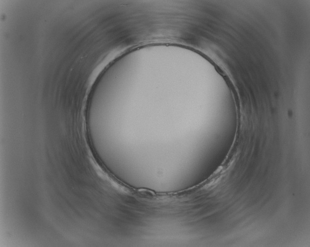 X0000073481341200608211615