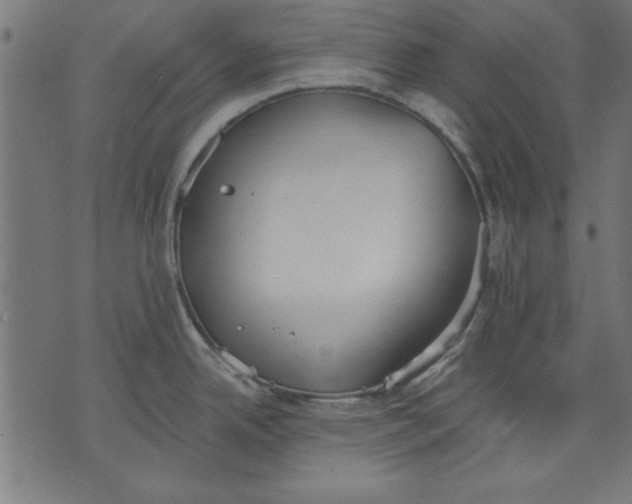 X0000073481342200608211615