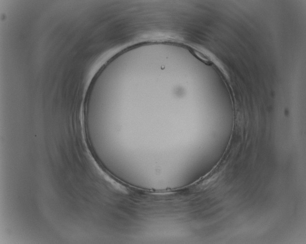 X0000073481343200608211615