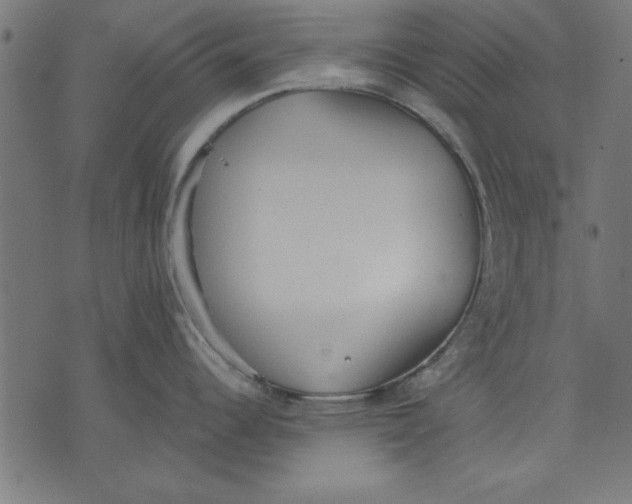 X0000073481344200608211615