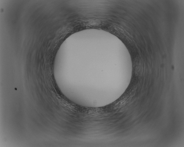 X0000073481345200608211614