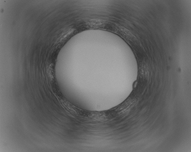 X0000073481346200608211614