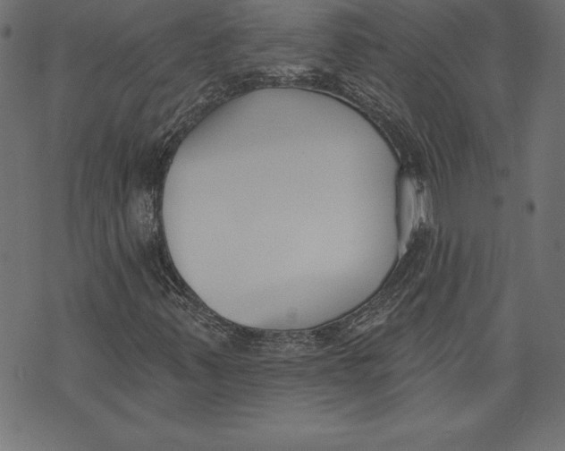 X0000073481347200608211614