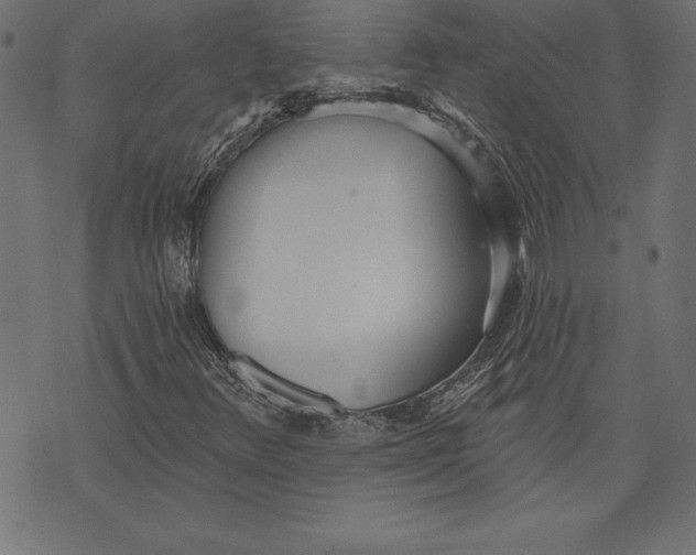 X0000073481348200608211614