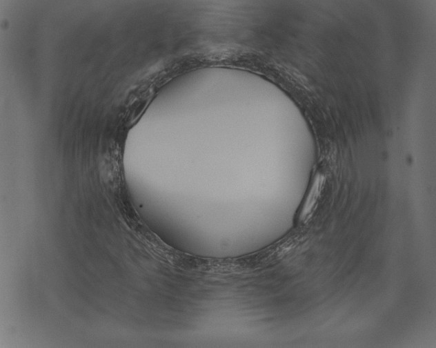 X0000073481349200608211614