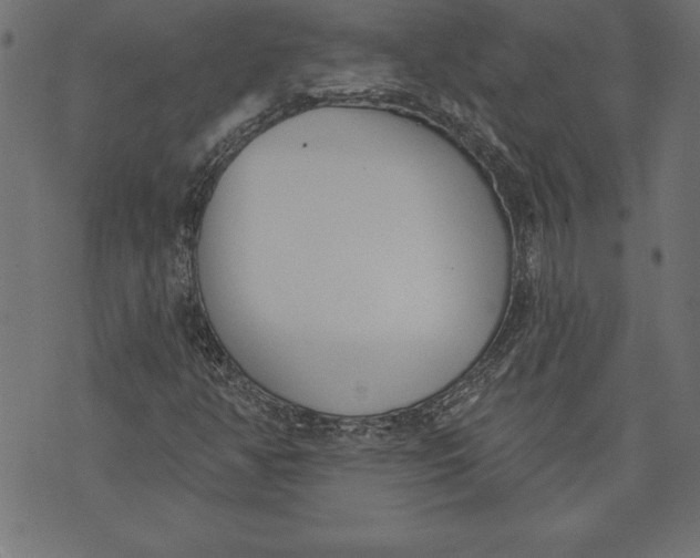 X0000073481350200608211614