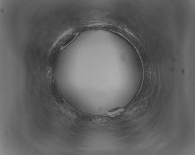 X0000073481351200608211614