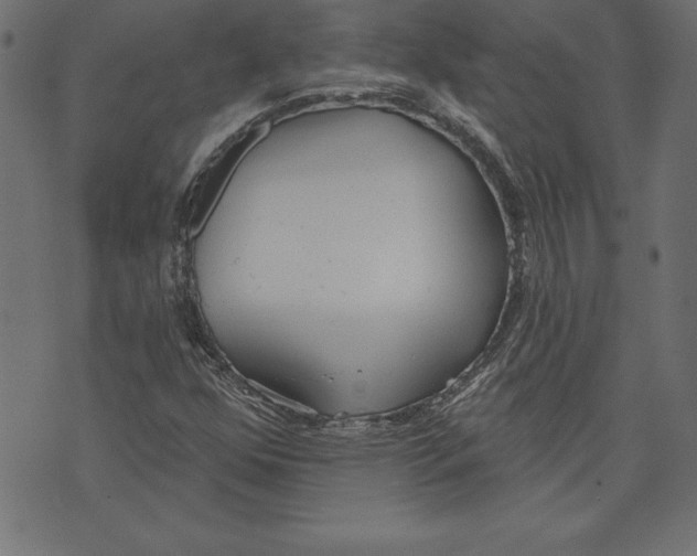 X0000073481352200608211614