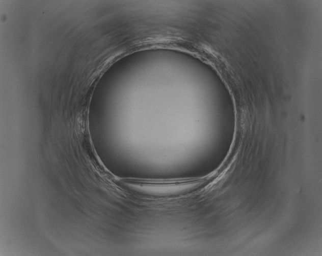 X0000073481353200608211614