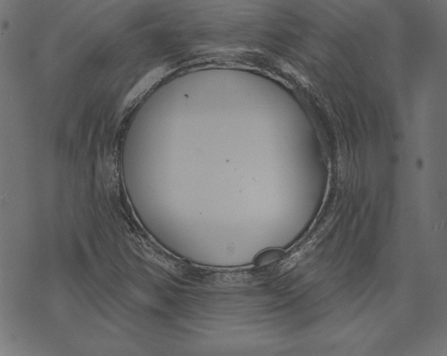 X0000073481354200608211614