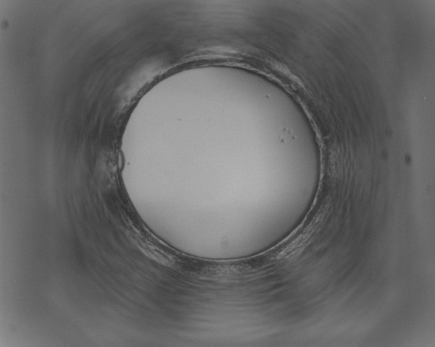 X0000073481355200608211614