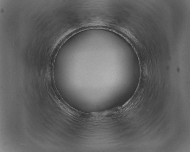 X0000073481356200608211614