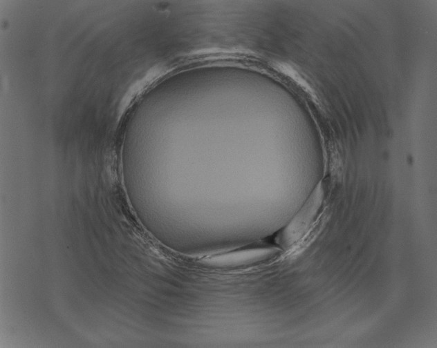 X0000073481357200608211614