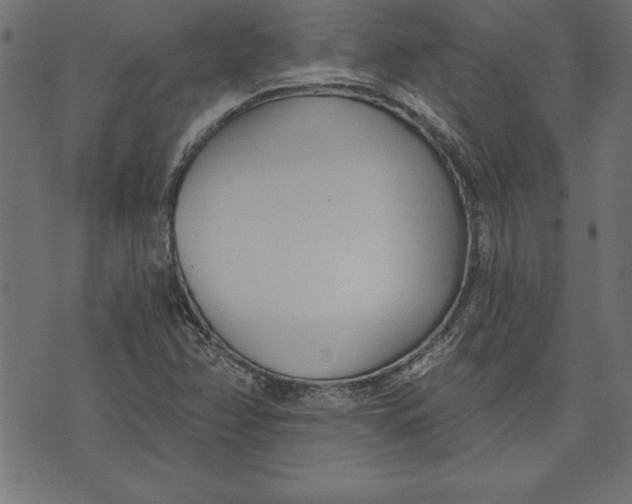 X0000073481358200608211614