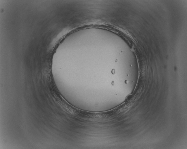 X0000073481359200608211614