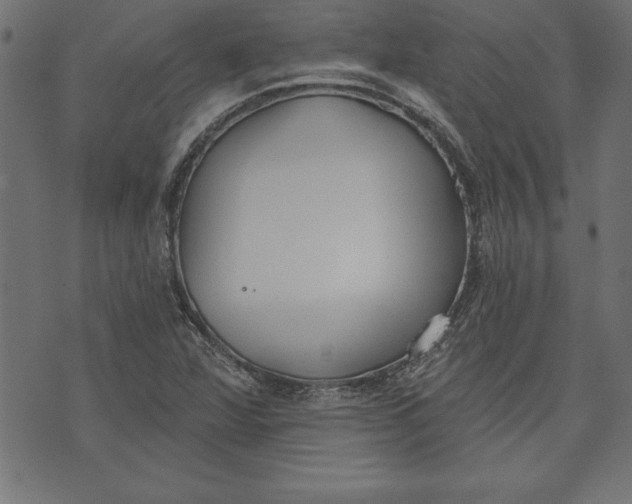 X0000073481360200608211614