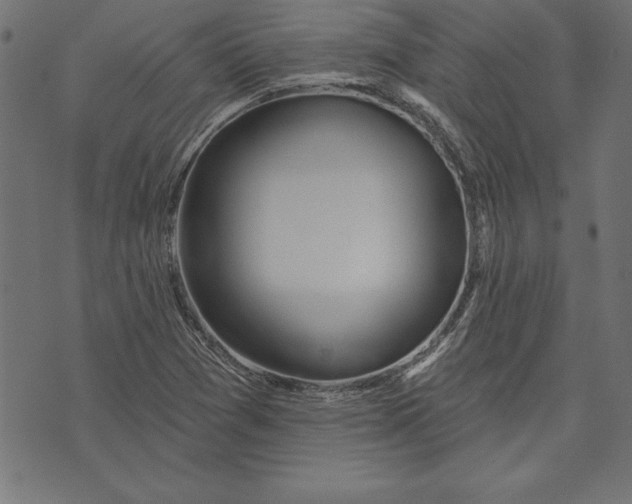 X0000073481361200608211614