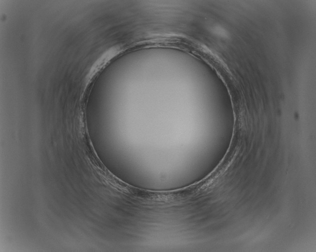 X0000073481362200608211614