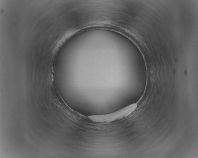 X0000073481363200608211614