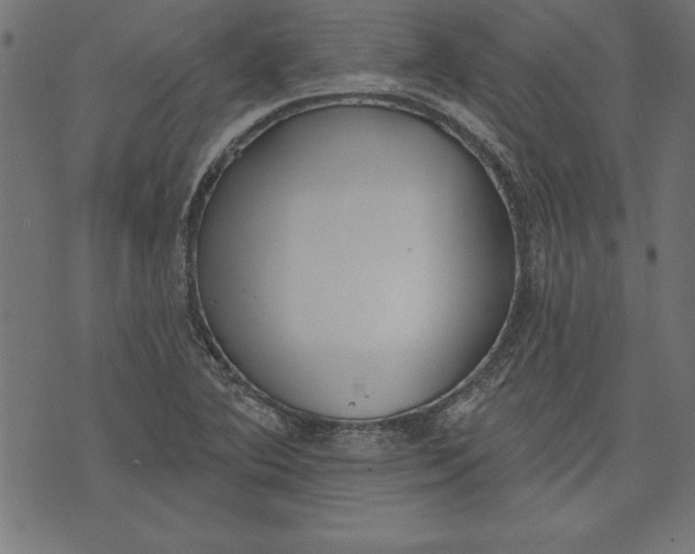 X0000073481364200608211614