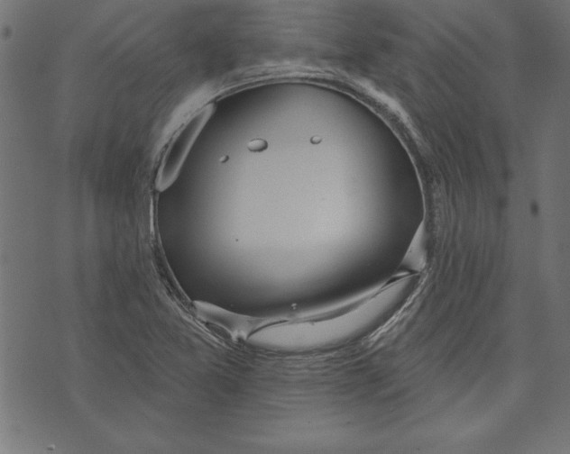 X0000073481365200608211614