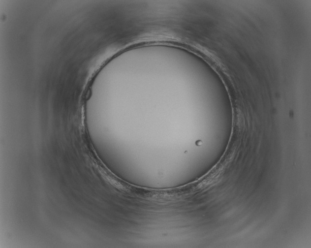 X0000073481366200608211614