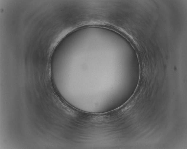 X0000073481367200608211614