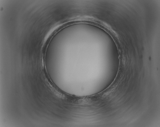 X0000073481368200608211614