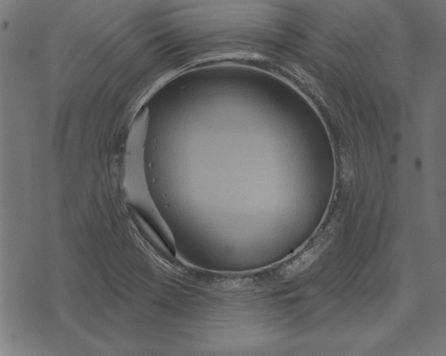 X0000073481369200608211614