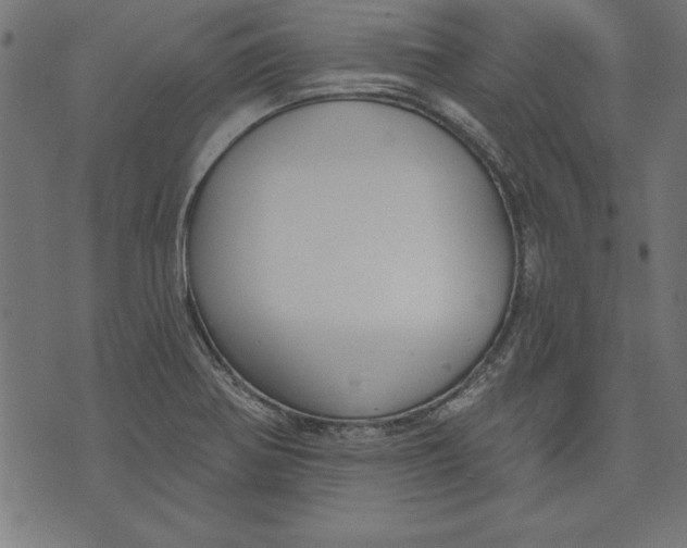 X0000073481370200608211614