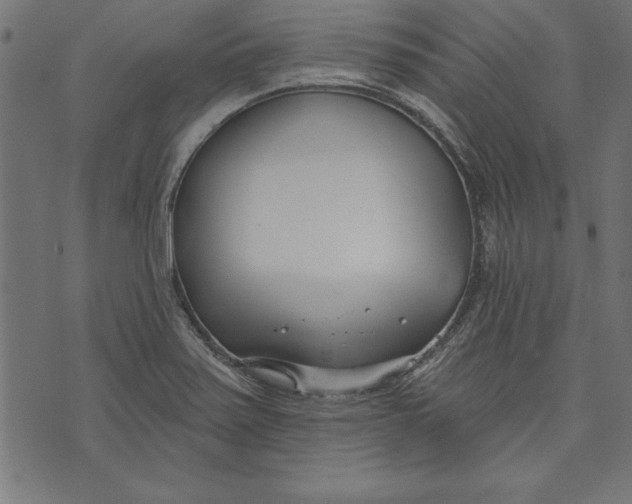 X0000073481371200608211614