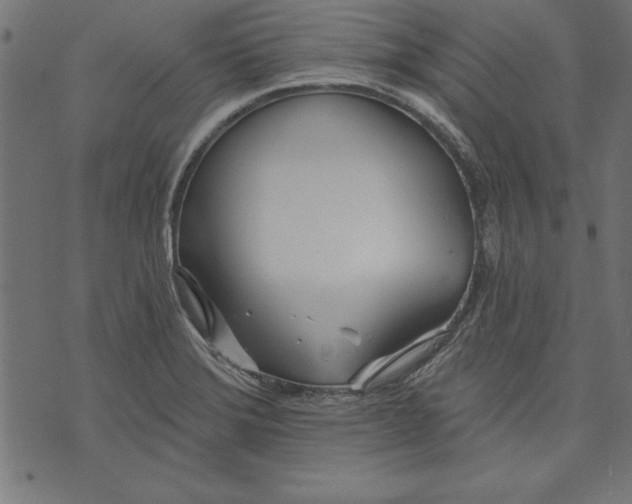 X0000073481372200608211614