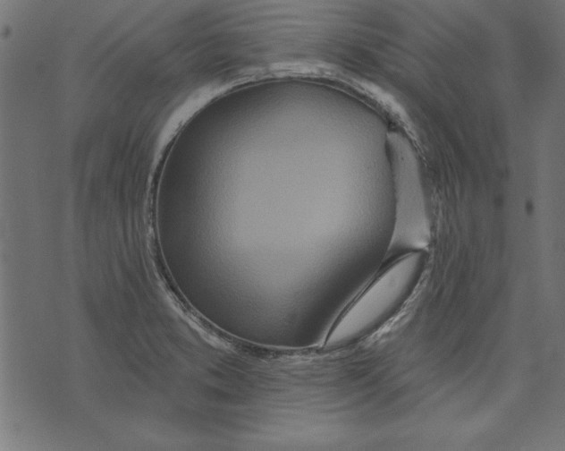 X0000073481373200608211614