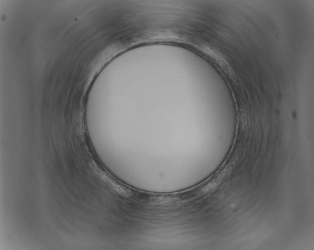 X0000073481374200608211614