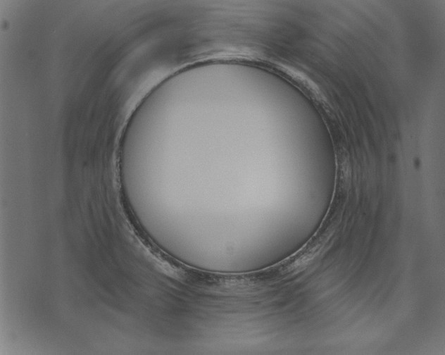 X0000073481375200608211614