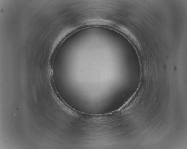 X0000073481376200608211614