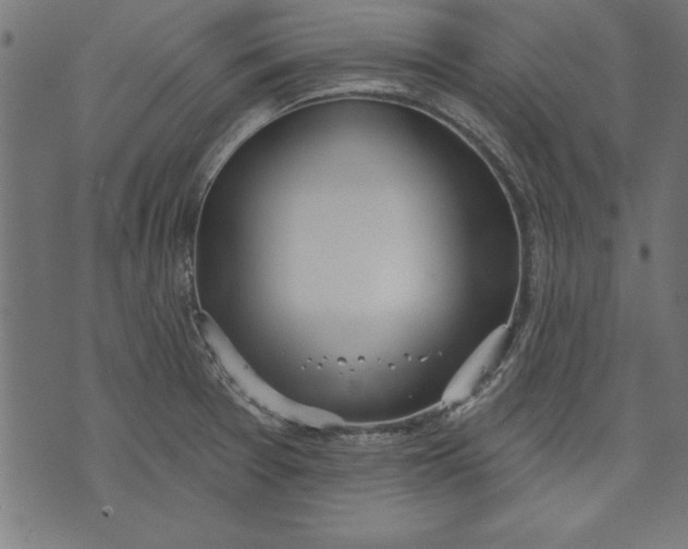 X0000073481377200608211614