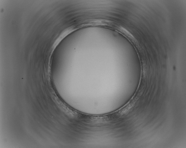 X0000073481378200608211614