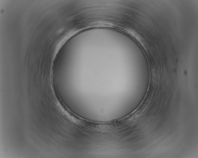 X0000073481379200608211614