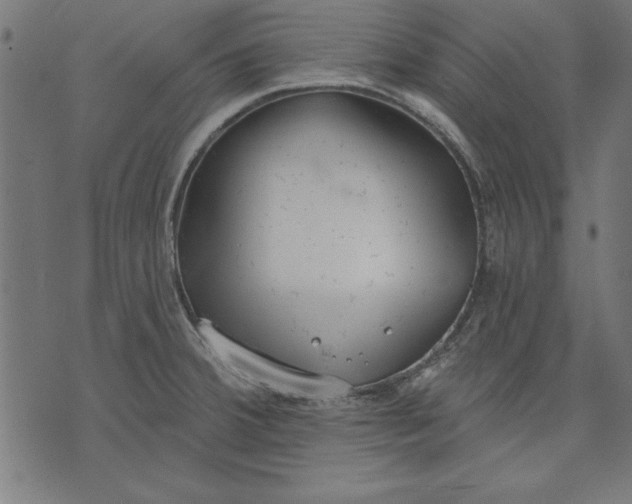 X0000073481380200608211614