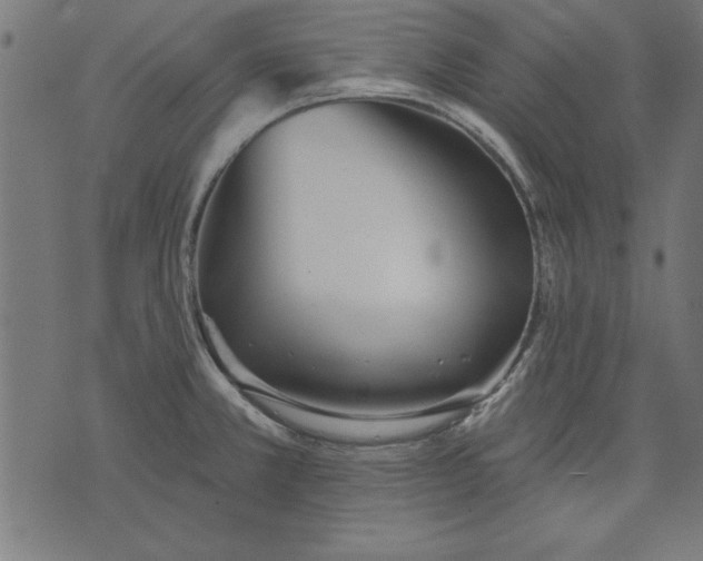 X0000073481381200608211614