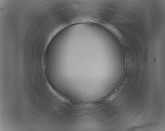 X0000073481382200608211614