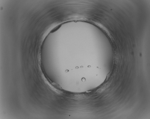 X0000073481383200608211614